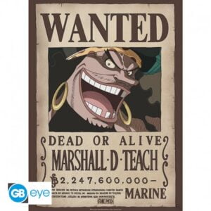 ONE PIECE Poster Barbanegra
