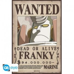 ONE PIECE Poster Franky