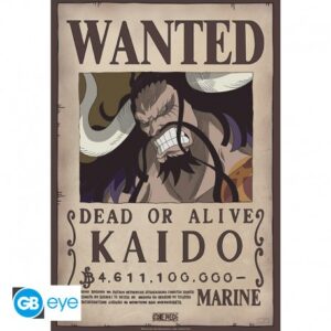 Poster Kaido