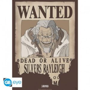 one-piece-poster-wanted-rayleigh-52x38
