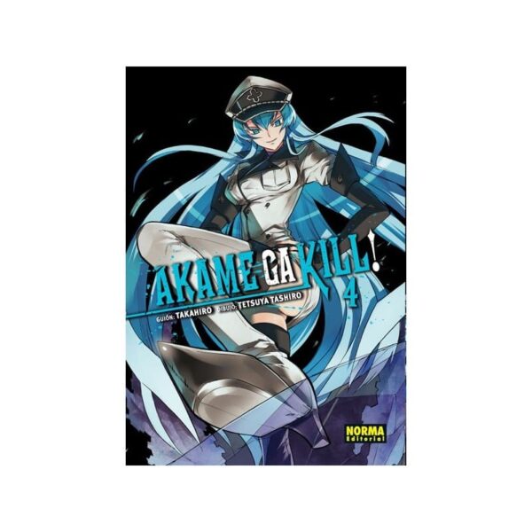 AKAME GA KILL! 04