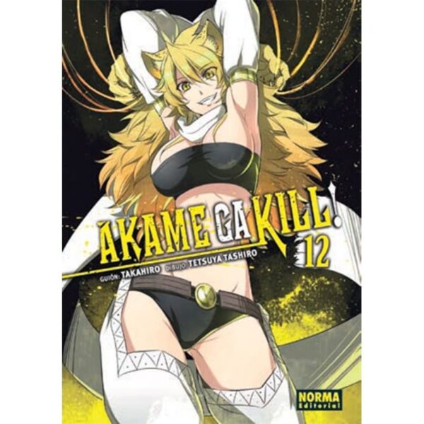 AKAME GA KILL! 12