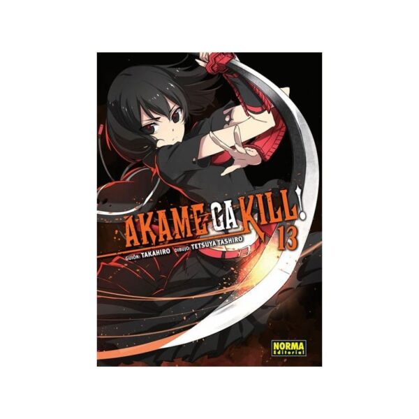 AKAME GA KILL! 13